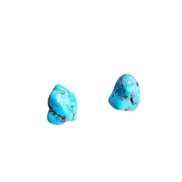 The Jewelry Junkie Blue Turquoise Stud Earrings
