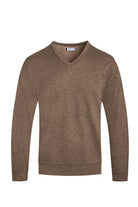 Men's Clothing Brown Vneck Knit Pullover Sweater