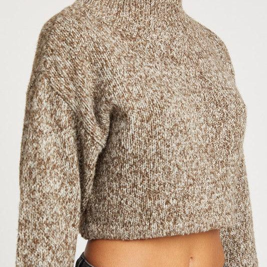 Women's Shirts Contrasted Turtle Neck Crop Top