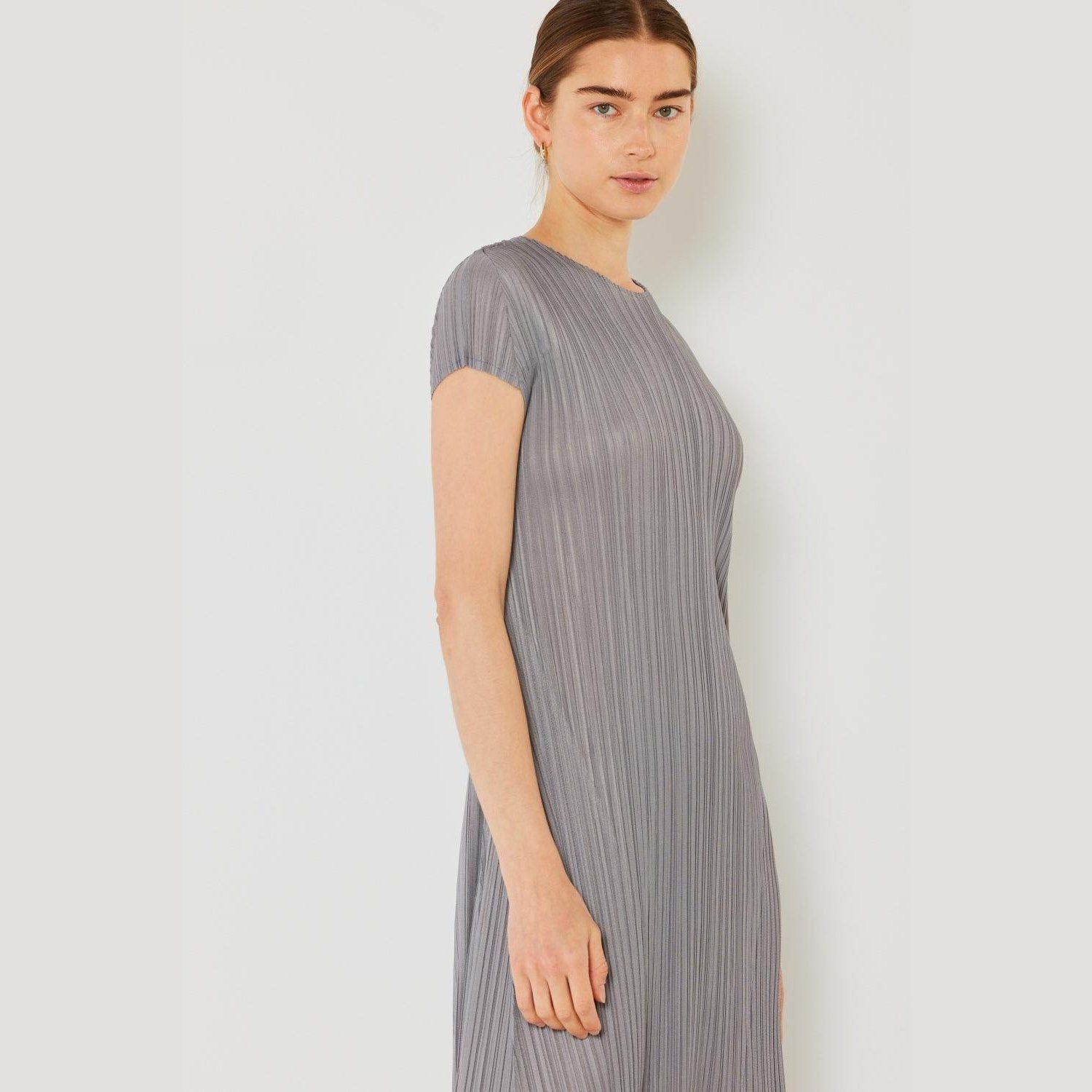 Pleated Cap Sleeve A-Line Dress - VacationGrabs
