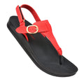 Black sandal with red strap featuring a gold buckle on a white background, with an American Podiatric Medical Association logo.