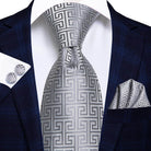 Silver patterned designer wedding ties for men, perfect accessory for formal occasions