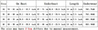 Size chart for rhinestone crop top party outfit by VacationGrabs showing on bust underbust length and underwear sizes