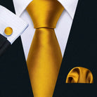 Men's gold and beige silk tie set for formal occasions