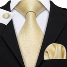 Men's gold and beige silk tie set for formal occasions