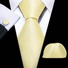 Men's gold and beige silk tie set, perfect for formal occasions