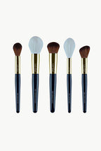 Sifides premium brush set with travel bag featuring five essential makeup brushes for flawless application