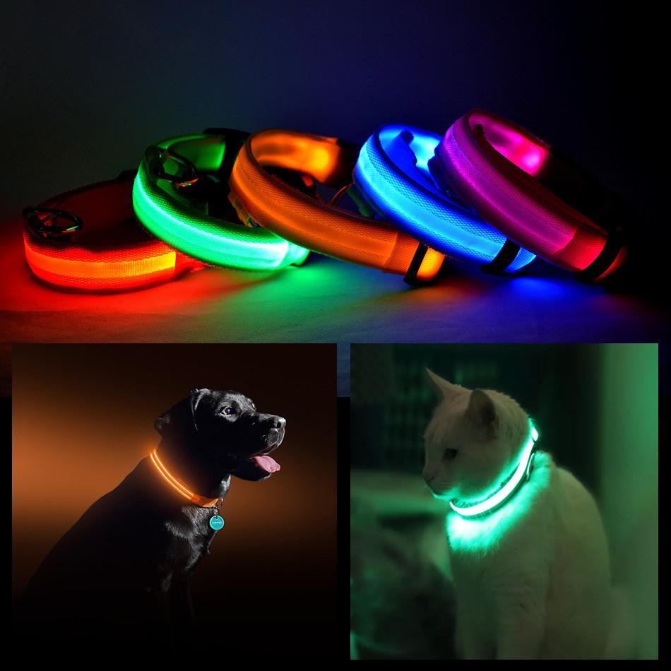 Gadgets Led Pet Safety Halo Style Collar