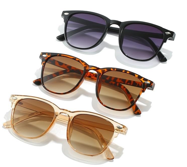 Assorted polarized sunglasses in black, tortoise, and clear styles