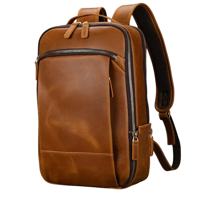 Unique Designer Leather Beetle Style Backpack for Men