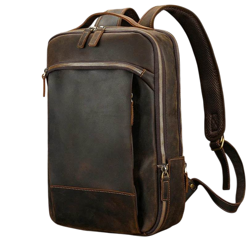 Unique Designer Leather Beetle Style Backpack for Men