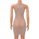 Back view of a mesh rhinestone mini dress with halter neckline and sparkling details on mannequin