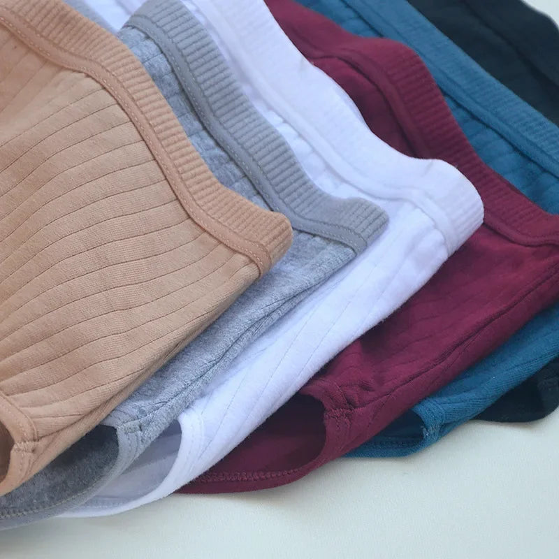 women panties cotton in assorted colors for everyday comfort