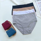 women panties cotton in assorted colors for everyday comfort