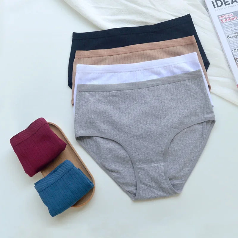 women panties cotton in assorted colors for everyday comfort