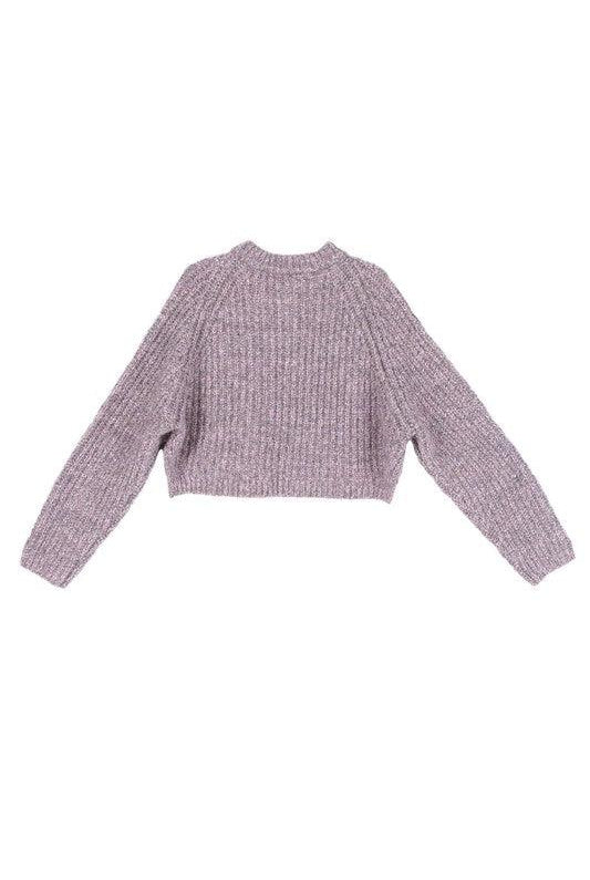Women's Sweaters Womens Cropped Melange Sweater Top