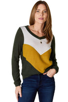 Women's Shirts Hailey & Co Full Size Colorblock V-Neck Blouse