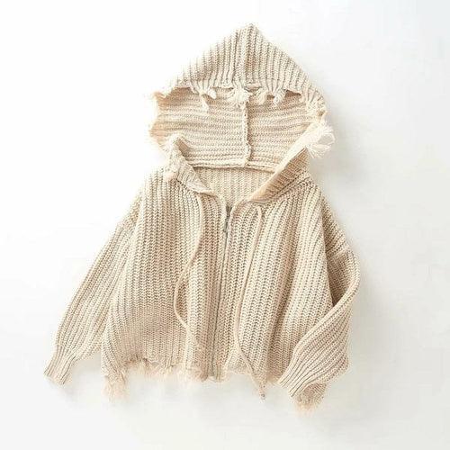 Women's Sweaters Casual Shredded Tassel Hooded Knit Sweaters