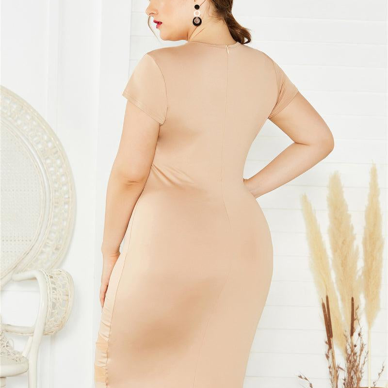 Women's Dresses Plus Size Mesh Detail Midi Dress